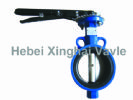 A Butterfly Valve